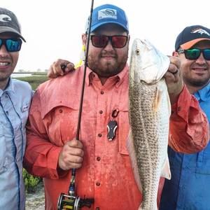 Meet your Posher, Brummer